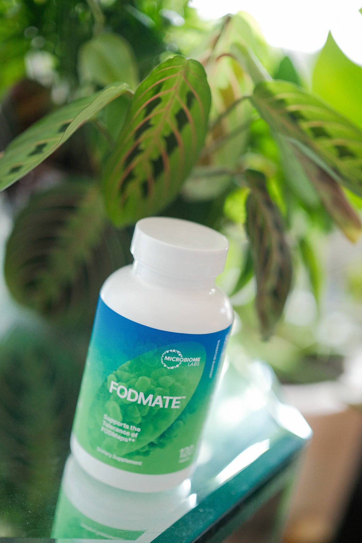 Microbiome Labs FODMATE