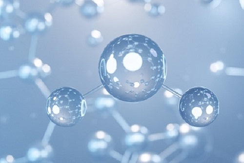 The Misunderstood Role of Hydrogen Sulfide (H₂S) in SIBO. By Functional Medicine Consultant, Sandy Rideout