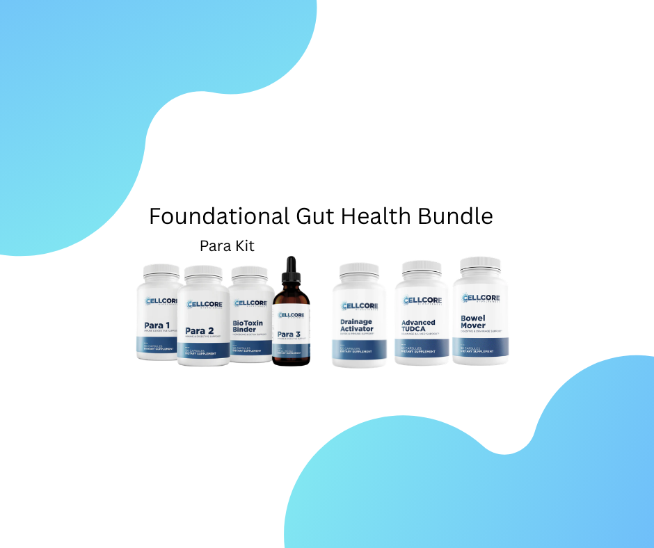 Foundational Gut Support Bundle