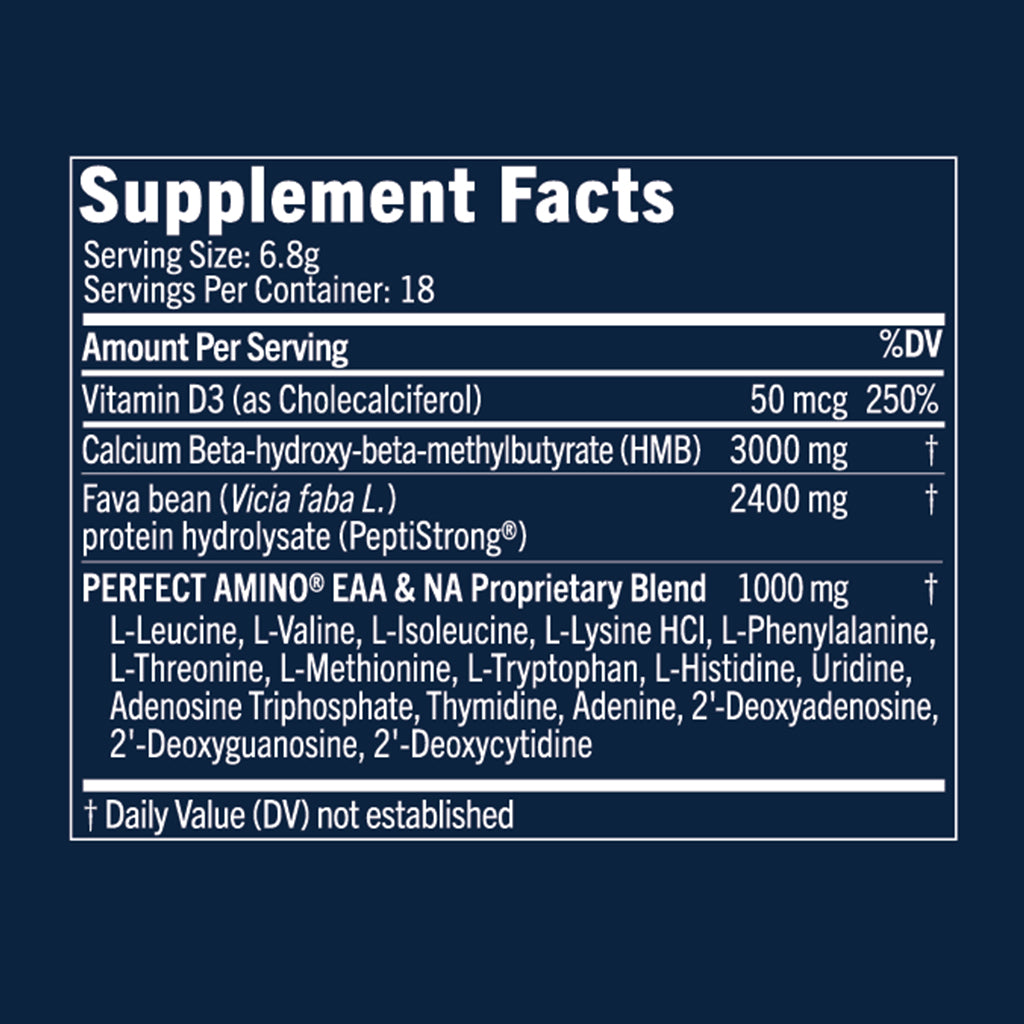 BodyHealth Perfect Amino Strength & Recovery