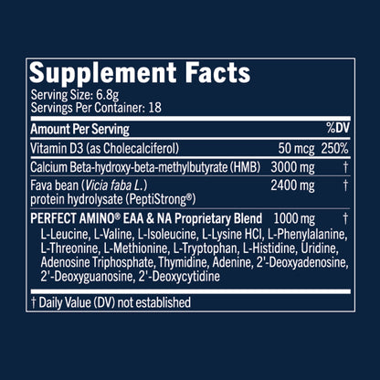 BodyHealth Perfect Amino Strength & Recovery