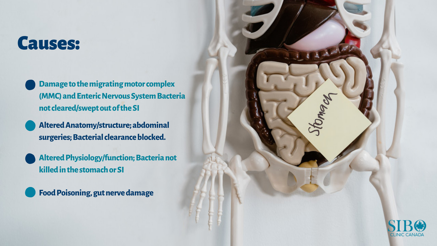 Quintron Easy Sampler Breath Collection  kit (Lactulose)