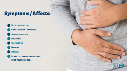 Quintron Easy Sampler Breath Collection  kit (Lactulose)