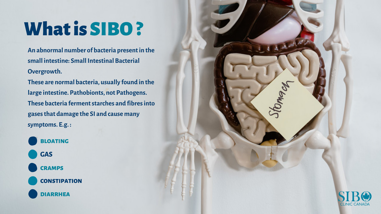 Quintron Easy Sampler Breath Collection  kit (Lactulose)