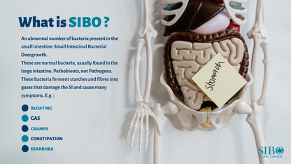 Quintron Easy Sampler Breath Collection  kit (Lactulose)