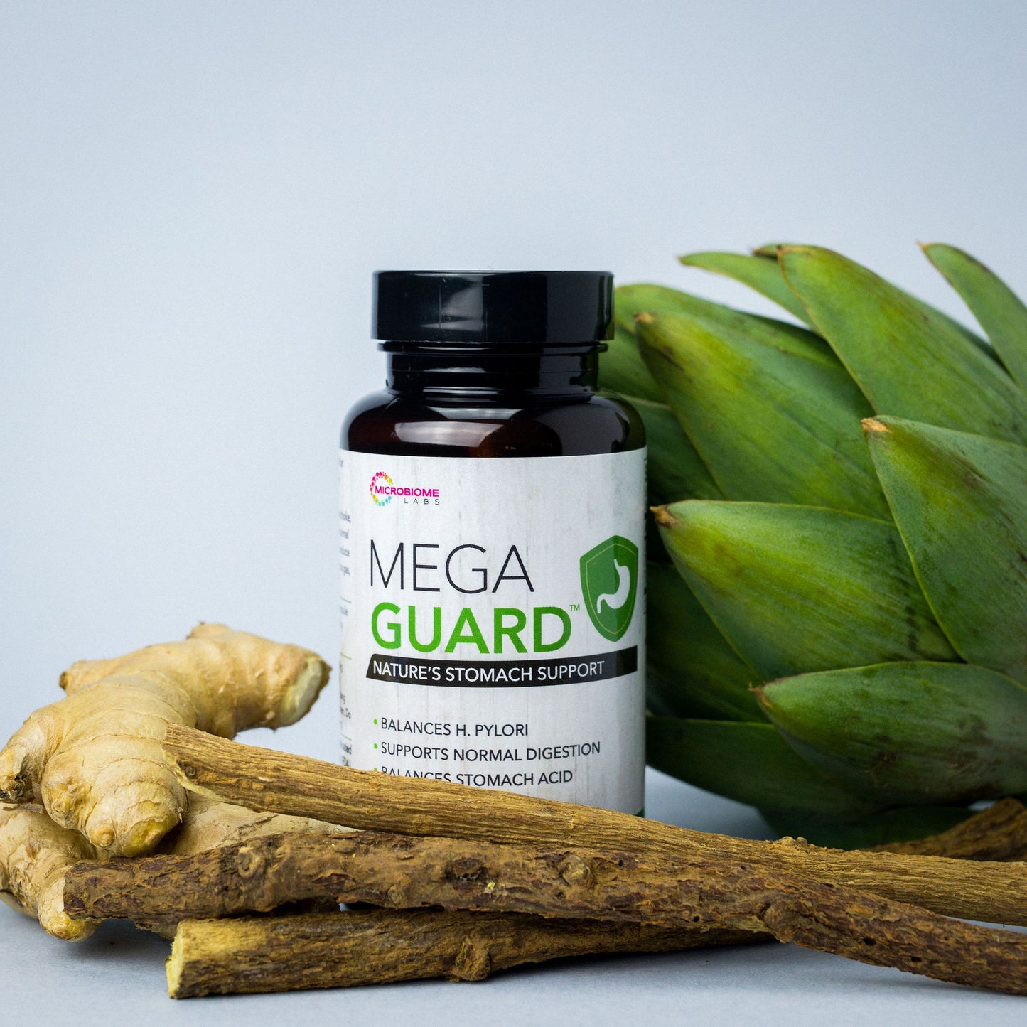 MegaGuard – Herbal Formula for Routine Digestive Support